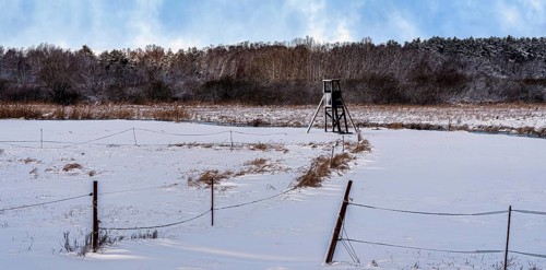 Winter landscape, fields and fields in Berlin Lübars, a village in Berlin Reinickendorf, Germany