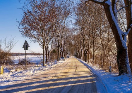 Landscape and country road in the historic district of Lübars, Berlin Reinickendorf, Germany