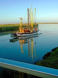 Emsfischereiboot, Kutter, Diana, Ems, dammed, Terborg, East Frisia, Germany