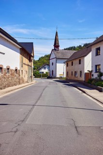 Church of St. Roch and Sebastian, general development, residential building, hill, forest, blue
