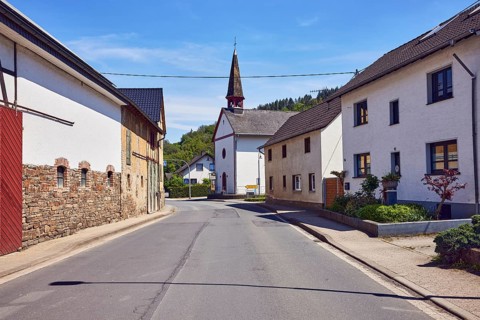 Church of St. Roch and Sebastian, general development, residential building, hill, forest, blue