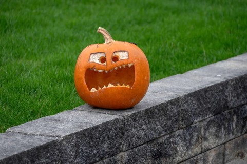 Carved pumpkin on a wall at Halloween, Franconia, Bavaria, Germany