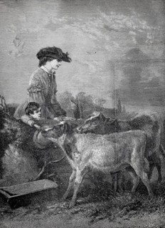 In the pasture, woman with her child walking in the countryside have passed by a pasture, curious
