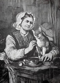 Elderly woman with her cat in the kitchen, at the kitchen table, 1880, Germany, elderly woman
