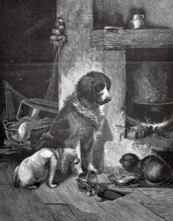 Dogs and aggressive cats fighting over a food bowl, 880, Three dogs rest in a cozy pantry full of