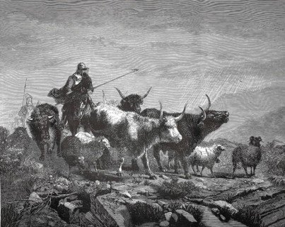 Scottish border robbers, cattle thieves, with their prey, cattle, around 1880, Scotland, shepherd