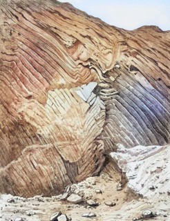 Glacial signs of congestion and folding in the diluvium of Petersburg near Kiel,