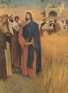 Scene from the biblical story, Jesus walking through the cornfields, authentic reproduction of a