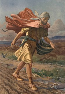 Scene from the biblical story, The Sower, refers to the biblical parable of Jesus of the Sower,