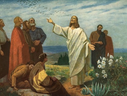 Scene from the biblical story, Jesus says, look at the birds under the sky: They don't sow, they
