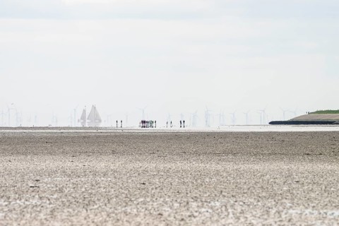 Wide view of the Wadden Sea at low tide with wind turbines and a sailing ship on the horizon in the