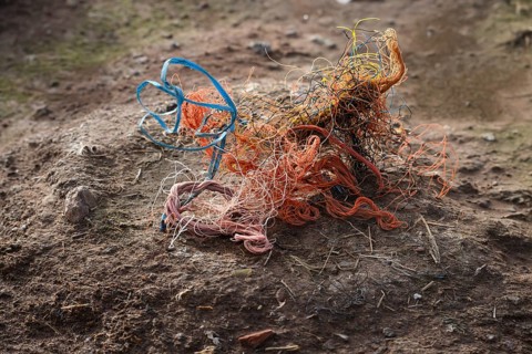 An abandoned nest of a gannet (Sula bassana) made of different materials with a lot of plastic