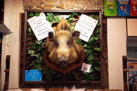 Boar head at the entrance to a delicatessen shop, Calvi, Balagne, Haute-Corse department, Corsica,