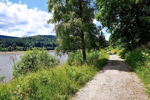 Hiking trail in Schwarzenbach Reservoir in Black Forest in Forbach in Germany