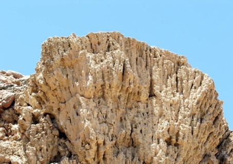 Fossil corals from the Pleistocene, around 400, 000 - 10, 000 years old, Sinai, Red Sea, Egypt