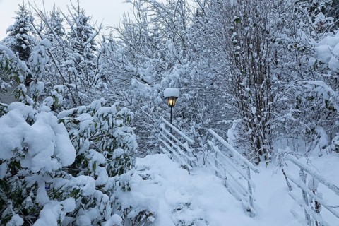 Snowy trees, garden, fence, lamp, snow, winter, Sieversen, Samtgemeinde Rosengarten, Lower Saxony,