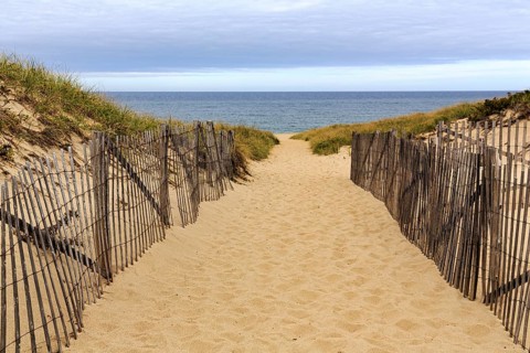 Sand path leads through dunes to sea, beach landscape with wooden fence, dune protection, cloud