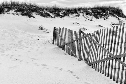 Typical dune landscape, beach landscape with wooden fence, dune protection, monochrome,