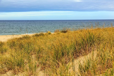 Ocean dune landscape, tall grasses on sand dunes, cloud cover, Provincetown, Race Point Beach, Cape