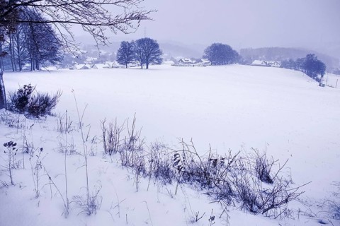Snow-covered wide plain with a view of a village and surrounding trees, Siegen