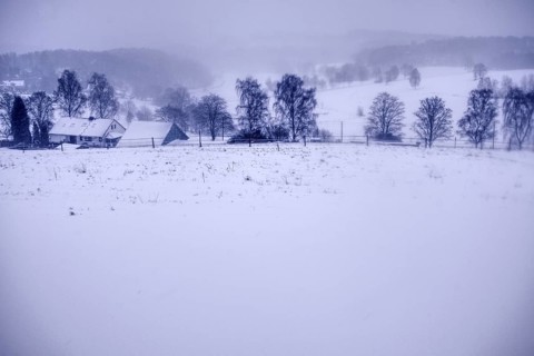 Snowy village in the background flanked by trees under winter fog, Siegen