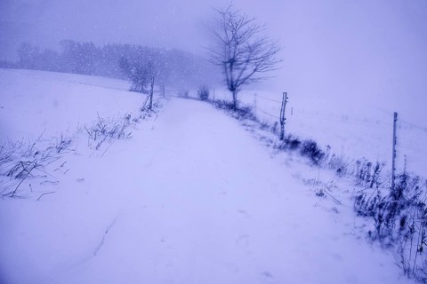 Stormy snowy trail with wind and little visibility, Siegen