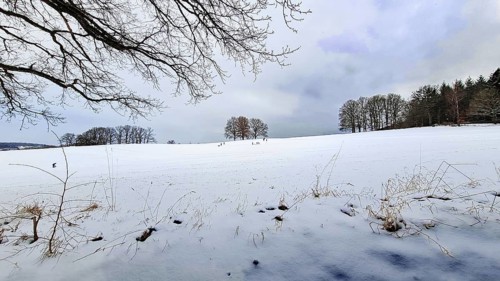 Wide snow-covered landscape with scattered trees and cloudy sky, Siegen
