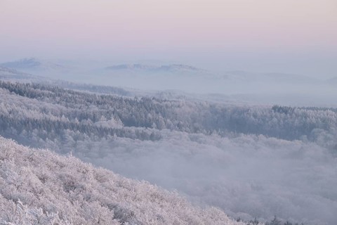 Snowy range of hills with frosty trees in the morning light, Hermannsweg an der Steinegge, Dissen