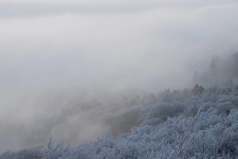 Thick fog over a snowy hilly and forest landscape, Hermannsweg an der Steinegge, Dissen am