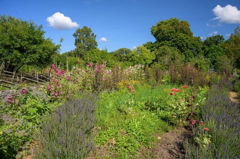 Colourful A picturesque garden with flowers and a rural house in the background, the colorful