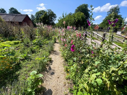 A path along the colorful cottage garden of the famous botanist and taxonomist Carl von Linne with