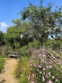 A path along the colorful cottage garden of the famous botanist and taxonomist Carl von Linne with