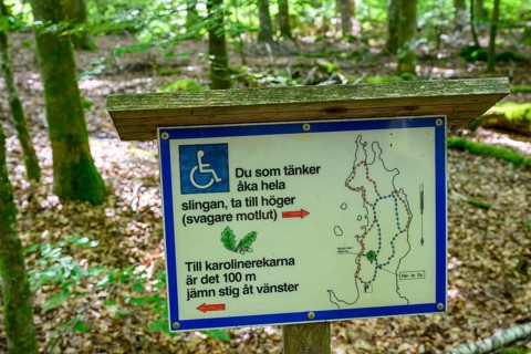 Information sign in the forest with reference to barrier-free hiking trails, Asnen NaaionalPark,