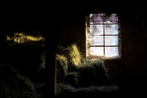 A hayloft with cobwebs in the window, illuminated by incoming sunlight in a dark environment, East