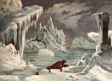 Polar landscape with icebergs and a seal, Arctic, North Pole, arctic scene with icebergs, walruses
