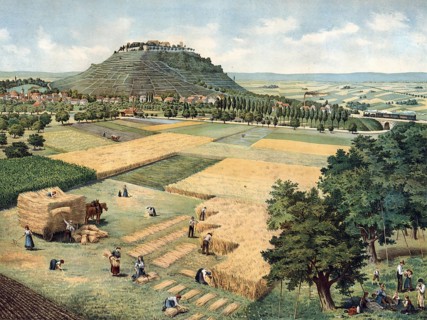 Grain harvest, Langes Feld with Asperg, town in Strohgäu at the foot of Hohenasperg mountain,