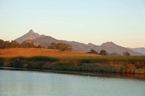 Sunrise light illuminating Mount Warning and surrounding farmland with cultivated cane fields