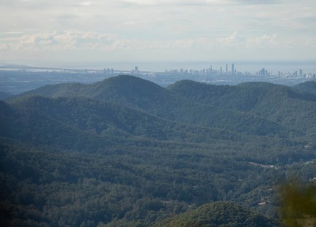 Clear blue sky with an open view over dense subtropical rain forest Gondwana, captured from the