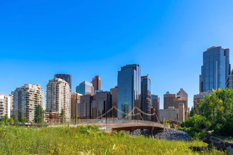 Modern skyscrapers of calgary's downtown core rise above a vibrant green park with a pedestrian