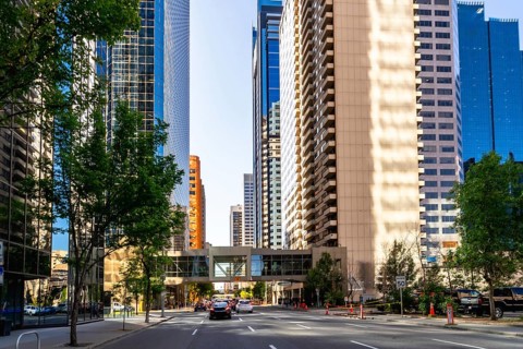 Cars are driving on a street lined with modern skyscrapers and lush green trees in downtown