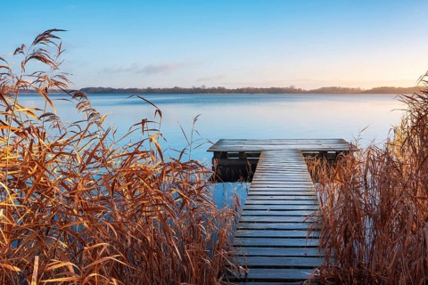 Morning atmosphere at Schaalsee, wooden walkway in reed belt under blue sky, reeds in autumn
