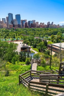 Wooden staircase winding down a grassy slope, leading towards the modern cityscape of calgary,