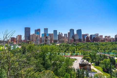 Calgary's impressive skyline dominates the horizon, rising above a lush green park and the bow