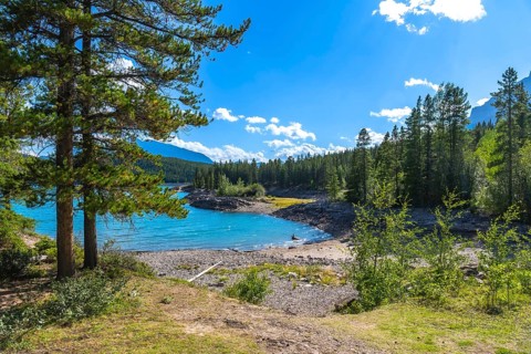 Vibrant turquoise waters of lake minnewanka sparkling under a sunny sky, framed by lush forests and