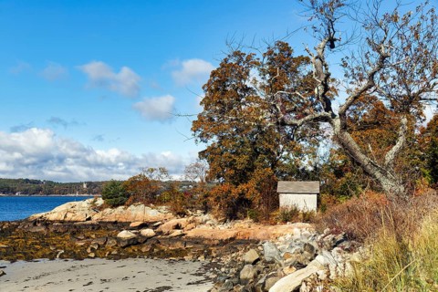 Shoreline, Indian Summer, Gloucester, Cape Ann, Massachusetts, New England, USA