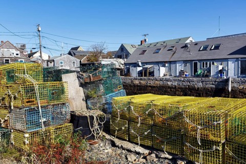 Stacked lobster traps, colorful lobster baskets on the wharf, traps, traditional buildings, Bradley