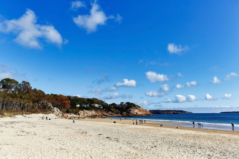 Sandy beach beach, Cumulus, strollers with dogs in autumn, Singing Beach, Manchester-by-the-Sea,