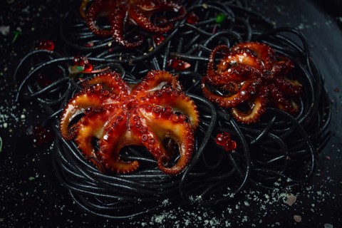Black spaghetti with baby octopuses, homemade, no people