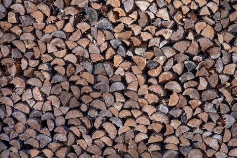 Stacked firewood, Franconia, Bavaria, Germany
