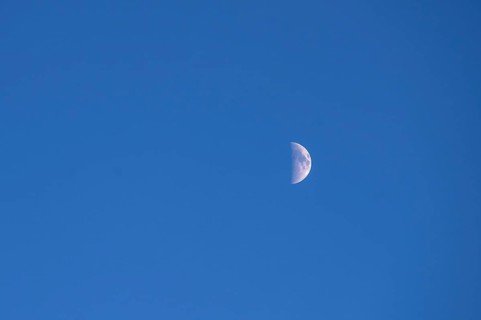 Half moon in early, blue evening sky, Bavaria, Germany